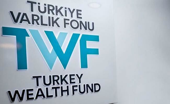 Turkey's wealth fund focused on petrochemicals, mining, CEO says