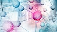 مرور قیمت‌های محصولات شیمیایی اروپایی در سال 2021 و پیش‌بینی سال 2022